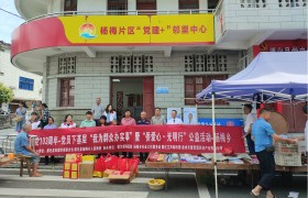 德化县杨梅乡建党103周年-党员下基层“我为群众办实事”暨爱尔眼科“侨爱心·光明行”公益活动